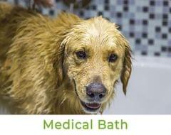 Medical Bath